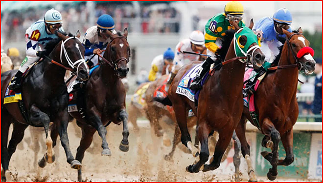 7 things you should know about horse racing 