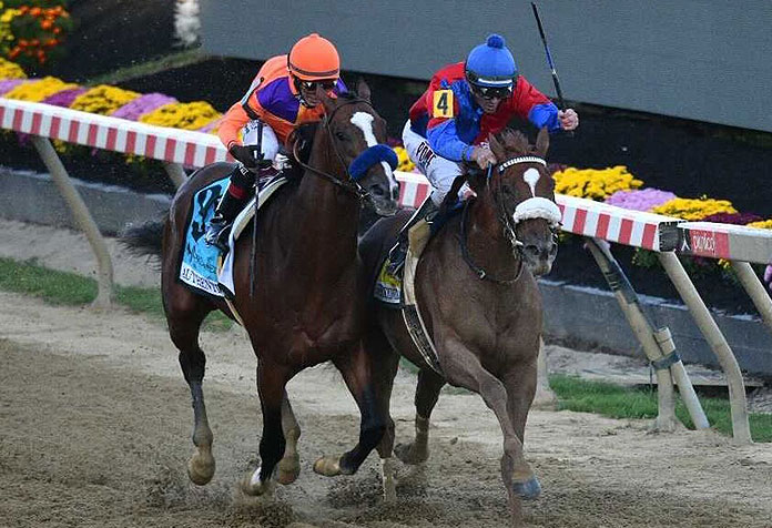 Swiss Skydiver wins the Preakness 2020